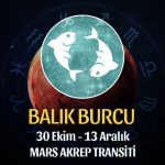 Balık Burcu - Mars Transiti Burç Yorumları