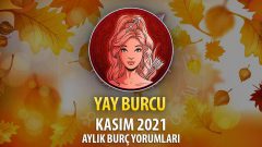 Yay Burcu Kasım 2021 Burç Yorumu