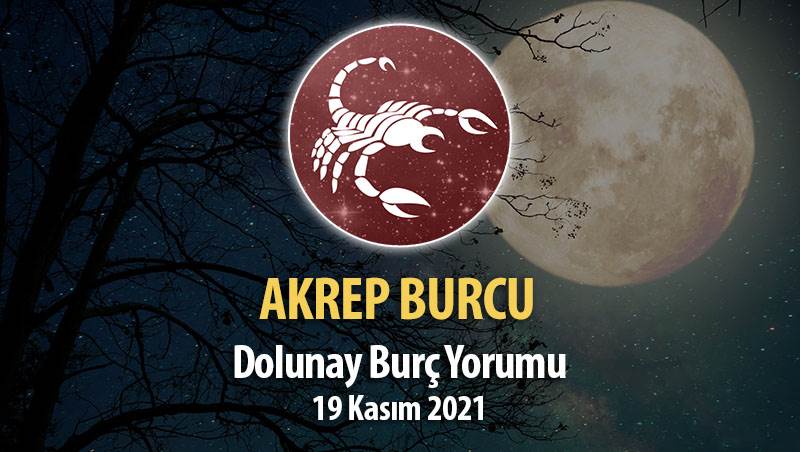 Akrep Burcu Dolunay Burç Yorumu