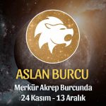 Aslan Burcu - Merkür Transiti Burç Yorumu