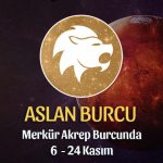 Aslan Burcu - Merkür Transiti Burç Yorumu