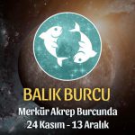 Balık Burcu - Merkür Transiti Burç Yorumu