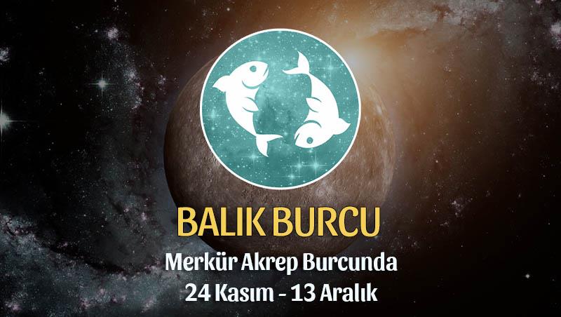 Balık Burcu - Merkür Transiti Burç Yorumu