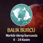 Balık Burcu - Merkür Transiti Burç Yorumu