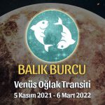 Balık Burcu - Venüs Oğlak Transiti Burç Yorumu