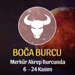 Boğa Burcu - Merkür Transiti Burç Yorumu