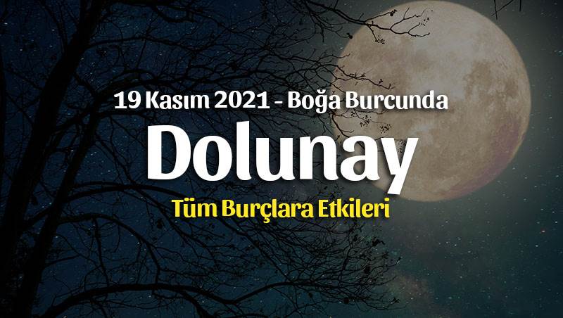 Boğa Burcunda Dolunay Burç Yorumları – 19 Kasım 2021