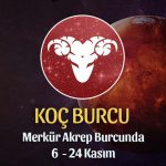 Koç Burcu - Merkür Transiti Burç Yorumu