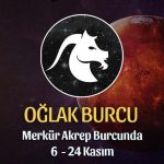 Oğlak Burcu - Merkür Transiti Burç Yorumu