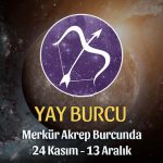 Yay Burcu - Merkür Transiti Burç Yorumu