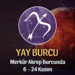 Yay Burcu - Merkür Transiti Burç Yorumu