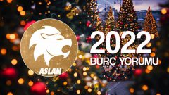 Aslan Burcu 2022 Yıllık Yorum