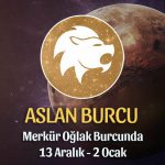 Aslan Burcu - Merkür Transiti Yorumu