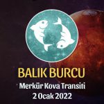 Balık Burcu - Merkür Kova Transiti Burç Yorumu