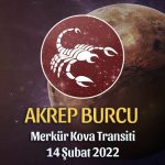 Akrep Burcu - Merkür Kova Transiti Burç Yorumu