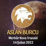 Aslan Burcu - Merkür Kova Transiti Burç Yorumu