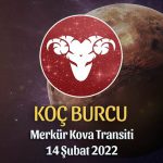 Koç Burcu - Merkür Kova Transiti Burç Yorumu