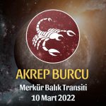 Akrep Burcu - Merkür Balık Transiti Burç Yorumu