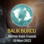 Balık Burcu - Merkür Balık Transiti Burç Yorumu