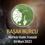 Başak Burcu - Merkür Balık Transiti Burç Yorumu