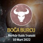 Boğa Burcu - Merkür Balık Transiti Burç Yorumu