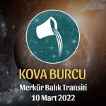 Kova Burcu - Merkür Balık Transiti Burç Yorumu