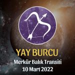 Yay Burcu - Merkür Balık Transiti Burç Yorumu