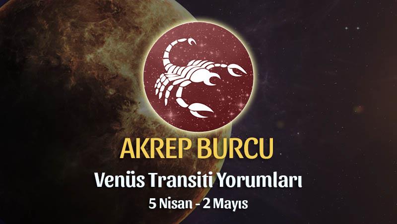 Akrep Burcu - Venüs Balık Transiti Burç Yorumu