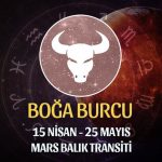 Boğa Burcu - Mars Balık Transiti Burç Yorumu