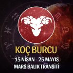 Koç Burcu - Mars Balık Transiti Burç Yorumu