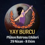 Yay Burcu - Plüton Retrosu Burç Yorumu