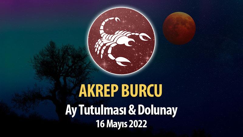 Akrep Burcu - Ay Tutulması ve Dolunay Burç Yorumu