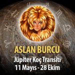 Aslan Burcu - Jüpiter Transiti Burç Yorumu