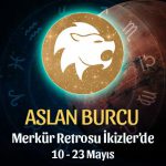 Aslan Burcu - Merkür Retrosu Burç Yorumu