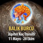 Balık Burcu - Jüpiter Transiti Burç Yorumu