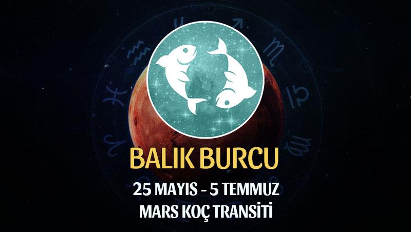 Balık Burcu - Mars Koç Transiti Burç Yorumu