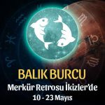 Balık Burcu - Merkür Retrosu Burç Yorumu