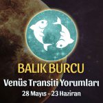 Balık Burcu - Venüs Transiti Yorumu 28 Mayıs - 23 Haziran