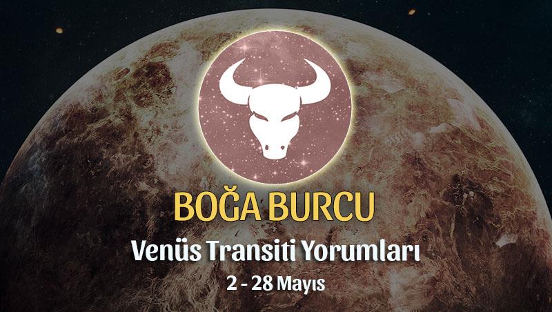 Boğa Burcu - Venüs Koç Transiti Burç Yorumu