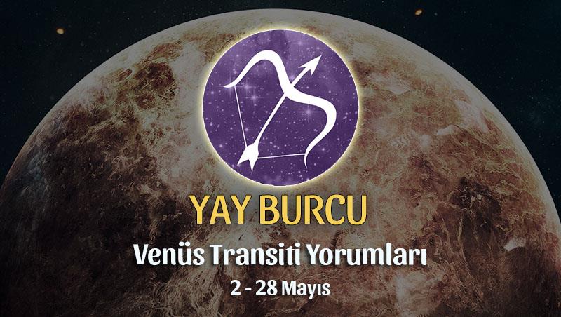 Yay Burcu - Venüs Koç Transiti Burç Yorumu