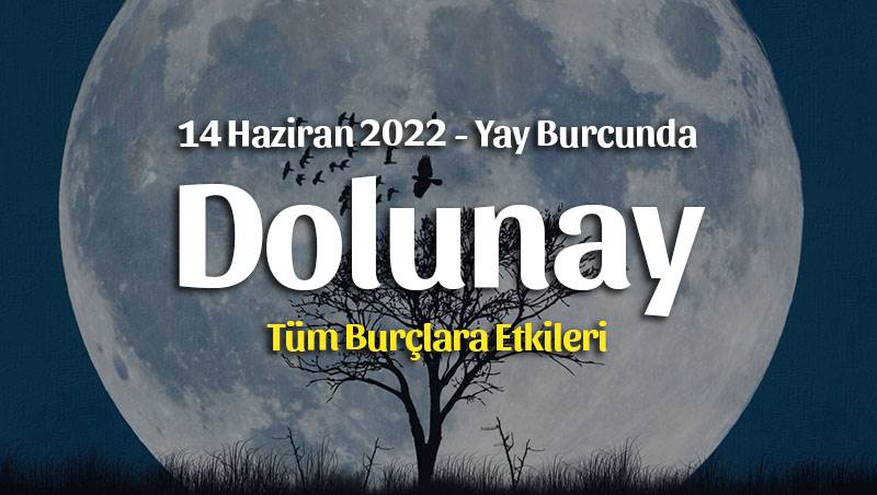 Yay Burcunda Dolunay Burç Yorumları – 14 Haziran 2022