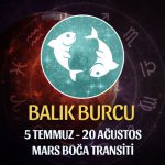 Balık Burcu - Mars Transiti Burç Yorumları 5 Temmuz 2022