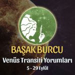 Başak Burcu - Venüs Başak Transiti Burç Yorumu