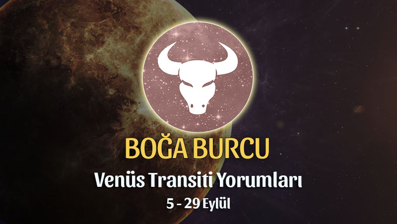 Boğa Burcu - Venüs Başak Transiti Burç Yorumu