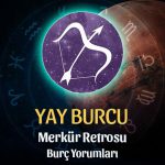 Yay Burcu - Merkür Retrosu Burç Yorumu