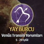Yay Burcu - Venüs Başak Transiti Burç Yorumu