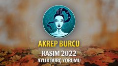 Akrep Burcu Kasım 2022 Yorumu