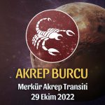 Akrep Burcu - Merkür Akrep Transiti Yorumu 29 Ekim 2022