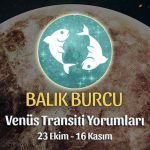 Balık Burcu - Venüs Akrep Transiti Burç Yorumu