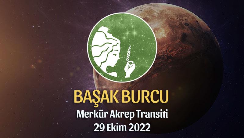 Başak Burcu - Merkür Akrep Transiti Yorumu 29 Ekim 2022